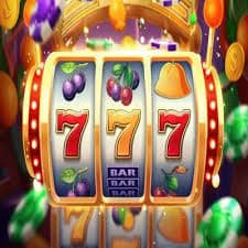 333bet15
