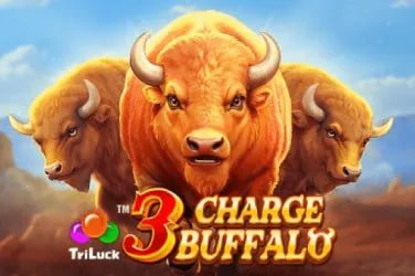 333bet15